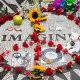 Strawberry Fields