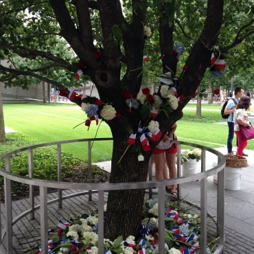 The Surviving Tree