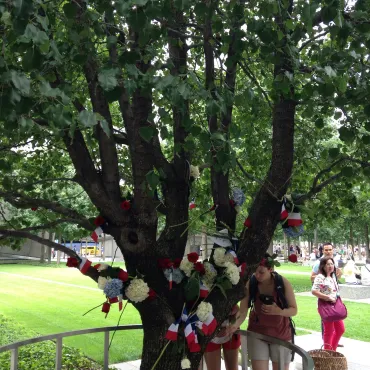 The Surviving Tree