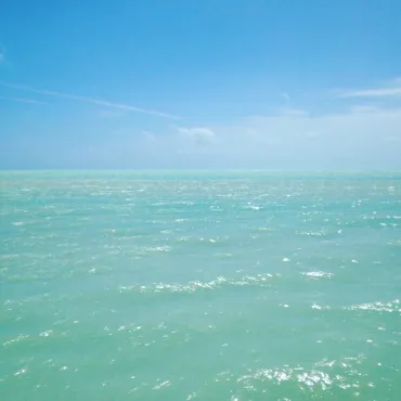 the ocean